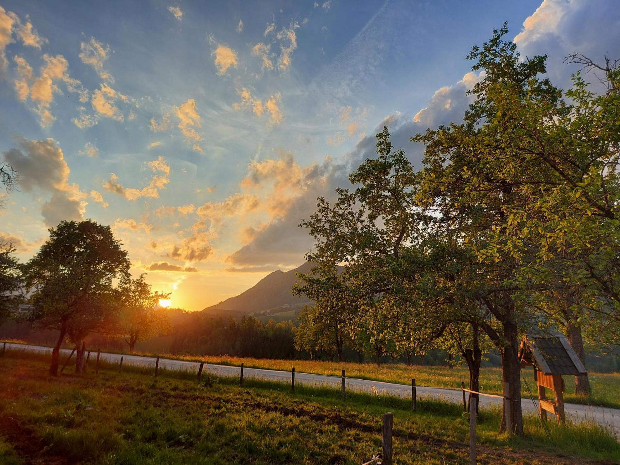 Ferienhof Kreilgut Rossleithen Dış mekan fotoğraf